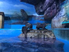 -多彩贵州城极地海洋世界