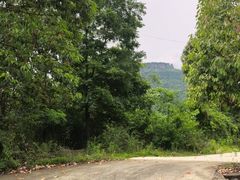-窦圌山风景区