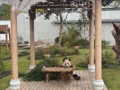 -无锡动物园·太湖欢乐园