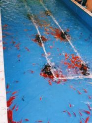 -萌宠亲子动物乐园(槐房万达店)