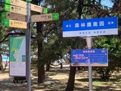 -日照海滨国家森林公园