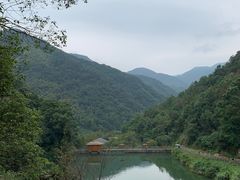 -宁海安岚·南溪阁全日餐厅