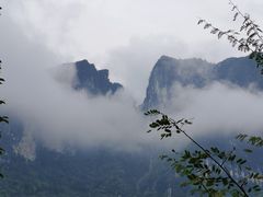 -鹿院坪生态旅游景区