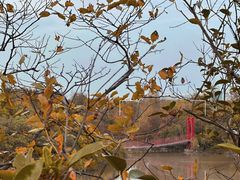 -上海吴淞炮台湾国家湿地公园