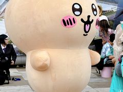 -帝京日语(春熙路旗舰校区)