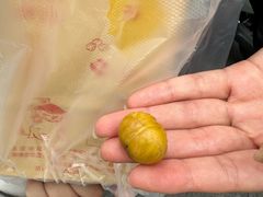 -高记福桂桂花糖炒栗(鼓楼店)