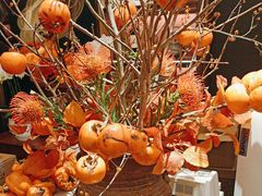 -蘇锦宴·淮扬菜烤鸭·小院(三元桥霄云路店)