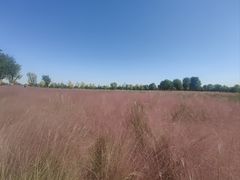 -汉长安城未央宫国家考古遗址公园