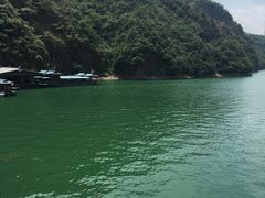 -领鲜土菜馆
