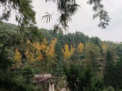 -大龙山(地铁站)