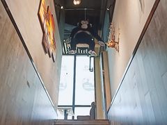 -ZOO COFFEE动物园咖啡(望京锐创店)