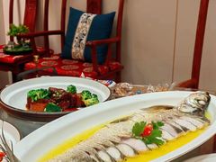 -鲁宴·鲁煨黄河生态大鲤鱼(月坛店)