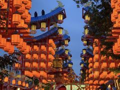 -特克斯八卦城