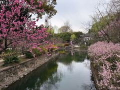 -无锡蠡湖国家湿地公园-蠡园
