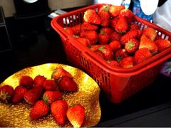 iphone_upload_pic-上海怡沁园度假酒店