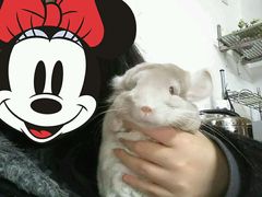 -雨林宠物医院 非犬猫异宠专科