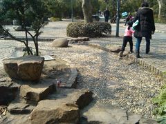 -人民公园-相亲角