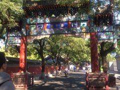 -北京国子监胡同