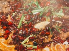 -老板恋上鱼(高新万达店)