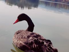 -江南大学(蠡湖校区)