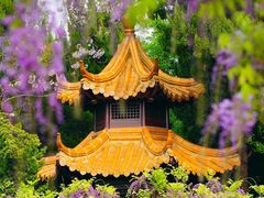 -嘉定紫藤园