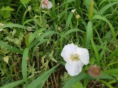 -东坝千亩湖公园