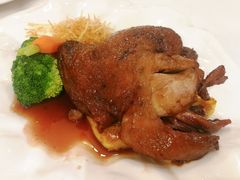 -维兰西餐(万泉河店)