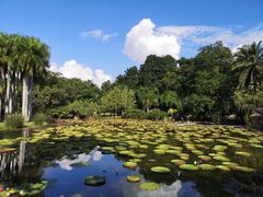 -中国科学院西双版纳热带植物园