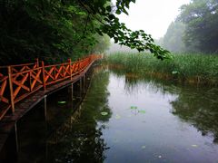 -云岗森林公园