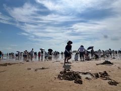 -日照海滨国家森林公园