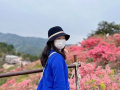 -木兰云雾山