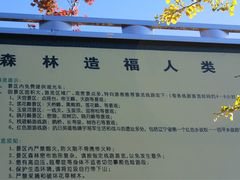 -丹东天桥沟景区