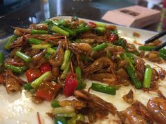 -61号餐吧(兴坪古镇漓江店)