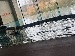 -乌村