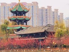 -望江楼公园