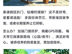 -瑞派天使宠物医院·神经外科·骨科·核磁(洛川中路店)