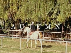 -洛阳马蹄泉旅游度假村