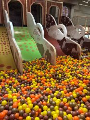 -卡通尼·Safari非洲探索乐园·生日会(金桥国际商业广场店)