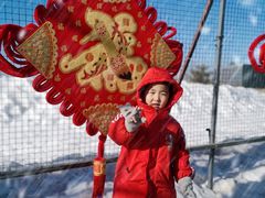 -绿野森林乐园冰雪季