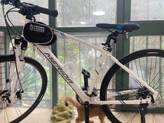 -美利达自行车(天通西苑一区店)