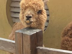 -珠海海泉湾神秘岛亲子乐园