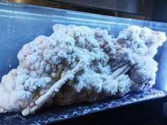 -湖南省地质博物馆