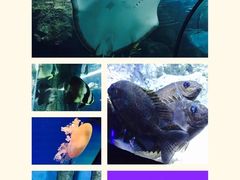 -福州罗源湾海洋世界旅游区