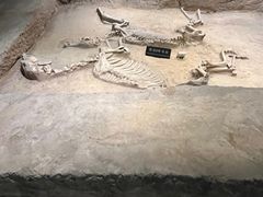 -洛阳周王城天子驾六博物馆