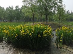 -东郊湿地公园