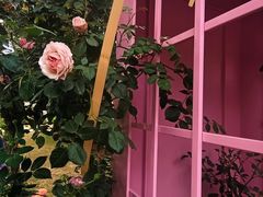 -人民公园(罗湖区)