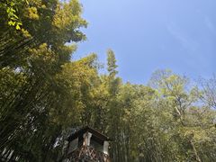 -竹海听涛生态山庄