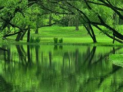 -上海共青森林公园