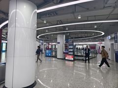 -东方体育中心(地铁站)