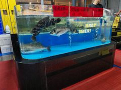 -明本湛江鸡•海鲜小厨(陈家祠店)